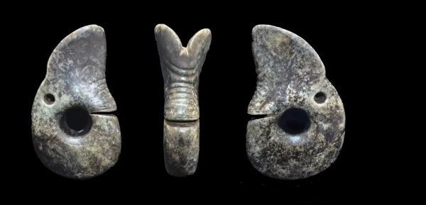 内蒙古发现红山文化考古出土的体量最大玉龙