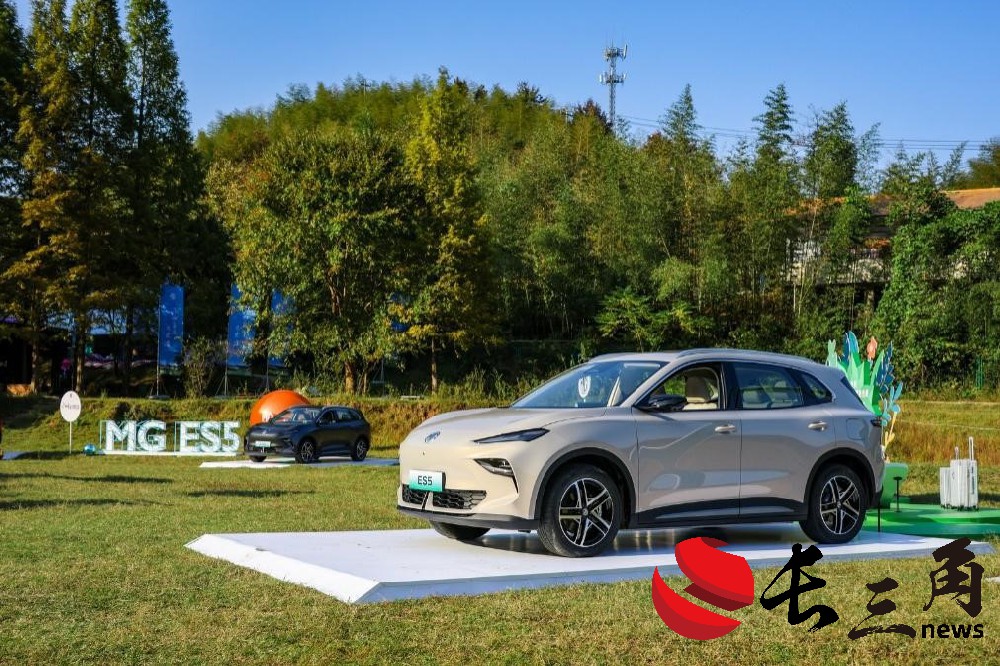 2025媒体管家:欧盟高筑“关税围墙” 中国车企多维度出海谋破局